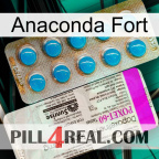 Anaconda Strong new07